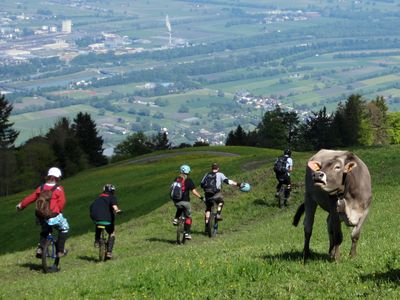 Über die Alm Über die Alm
