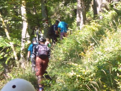 Anstieg durch den Wald Anstieg durch den Wald