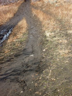 Taste of Mud Taste of Mud