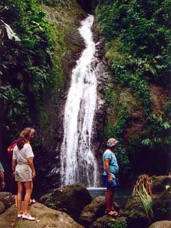 Annandale Falls Annandale Falls