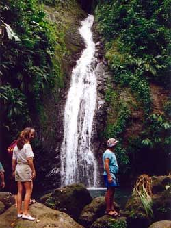 Annandale Falls