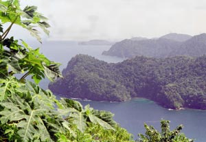 Nordküste von Trinidad