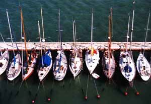 Marina Marina