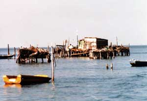 Fischerhütte Fischerhütte