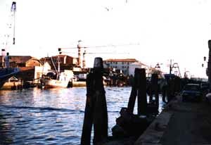 Fischerhafen Fischerhafen