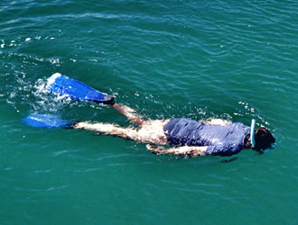 Wolfgang schwimmt Wolfgang schwimmt