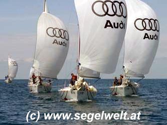 Alle mit dem Spinnaker