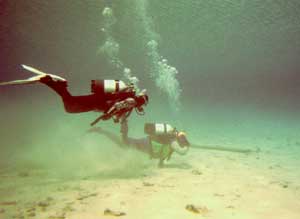 Tauchen im seichten Wasser Tauchen im seichten Wasser
