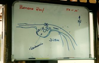 Banana Reef. Banana Reef.