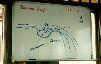 Banana Reef.