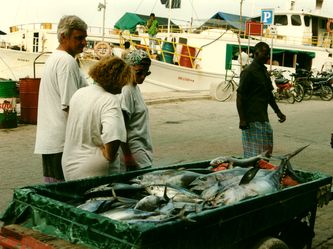 Fischmarkt am Kai Fischmarkt am Kai